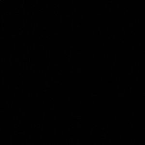 Meet your Posher, Aseel